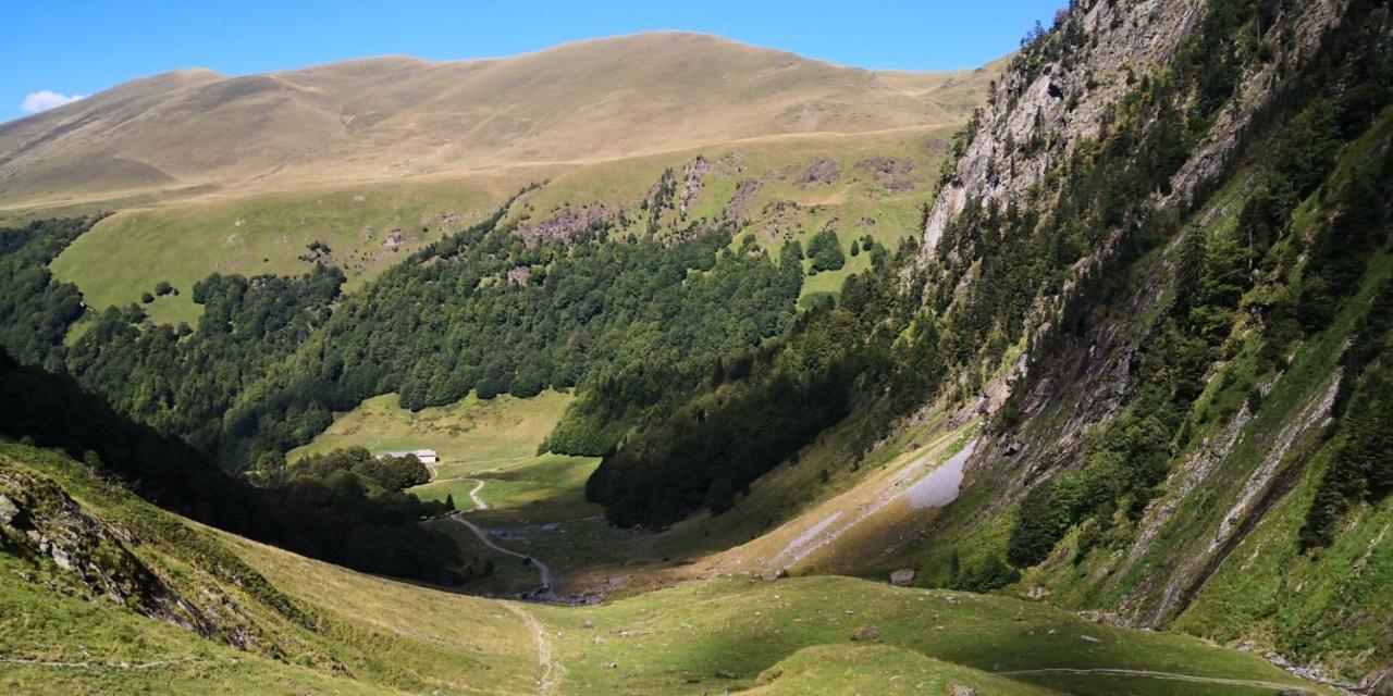 ホテル Le 41 Avenue Foch Bagnères-de-Luchon エクステリア 写真